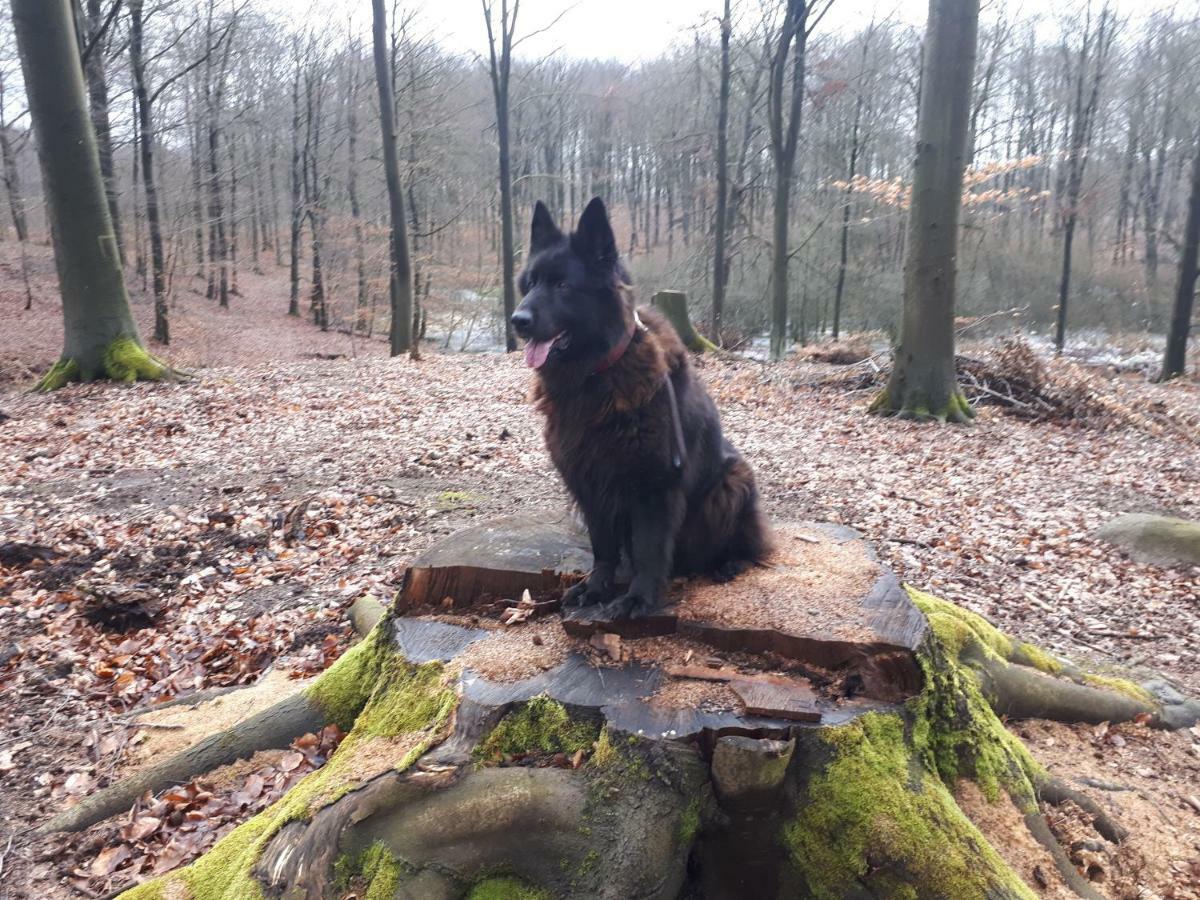 Labadkowo Villa Labedzie Bagian luar foto