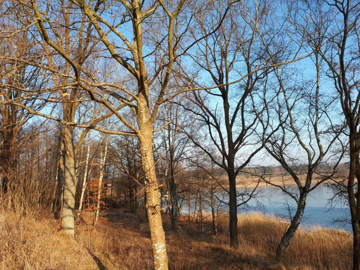Labadkowo Villa Labedzie Bagian luar foto