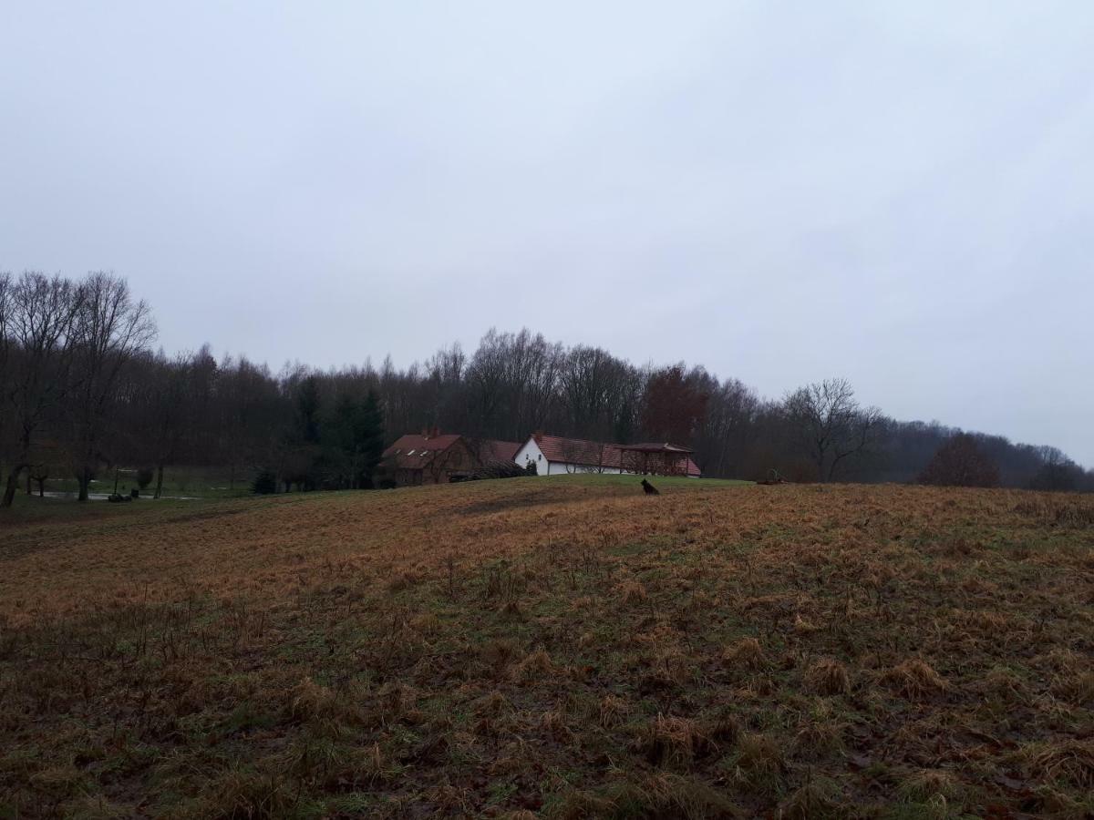 Labadkowo Villa Labedzie Bagian luar foto