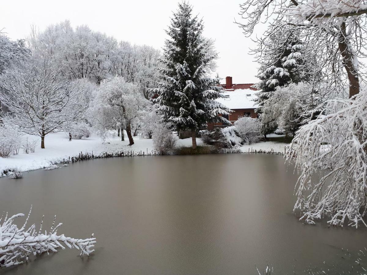 Labadkowo Villa Labedzie Bagian luar foto